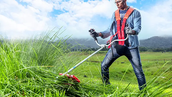 Lawn Mowing & Weeding