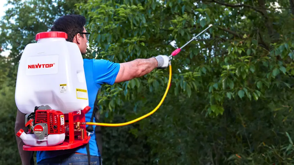 NEWTOP is Branching Out in 65+ Regions, You Can Be Next6