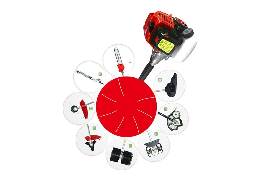 Failure-resistant Multifunctional Leader in Any Sector