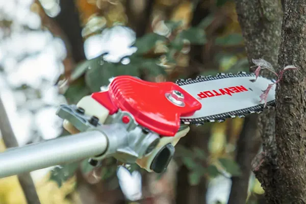 Budget-friendly Pole Saws & Pruners on Sale2