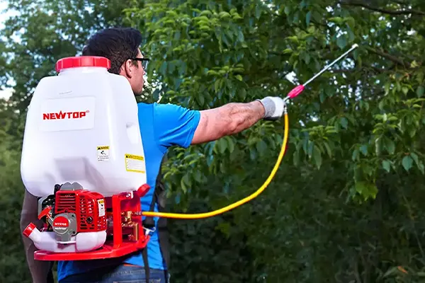 NEWTOP is Branching Out in 65+ Regions, You Can Be Next8-2