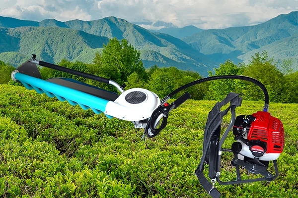 Tea Plucking Machine for Sale2